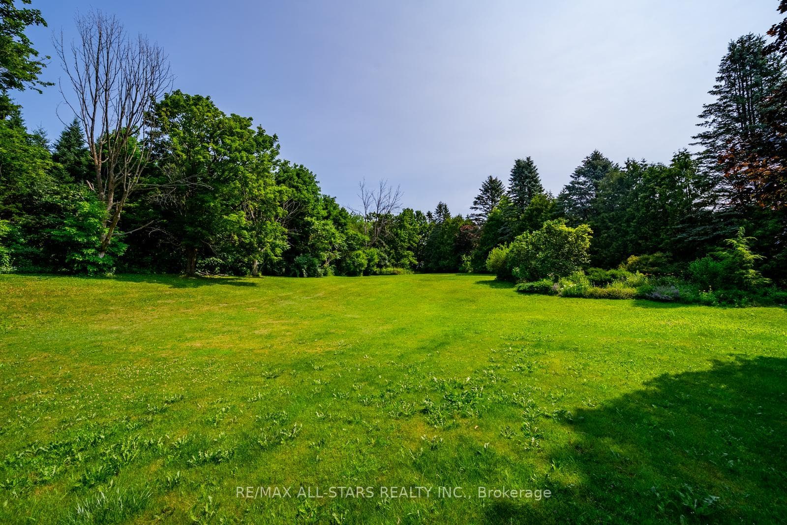 23 Forfardale Road photo 45