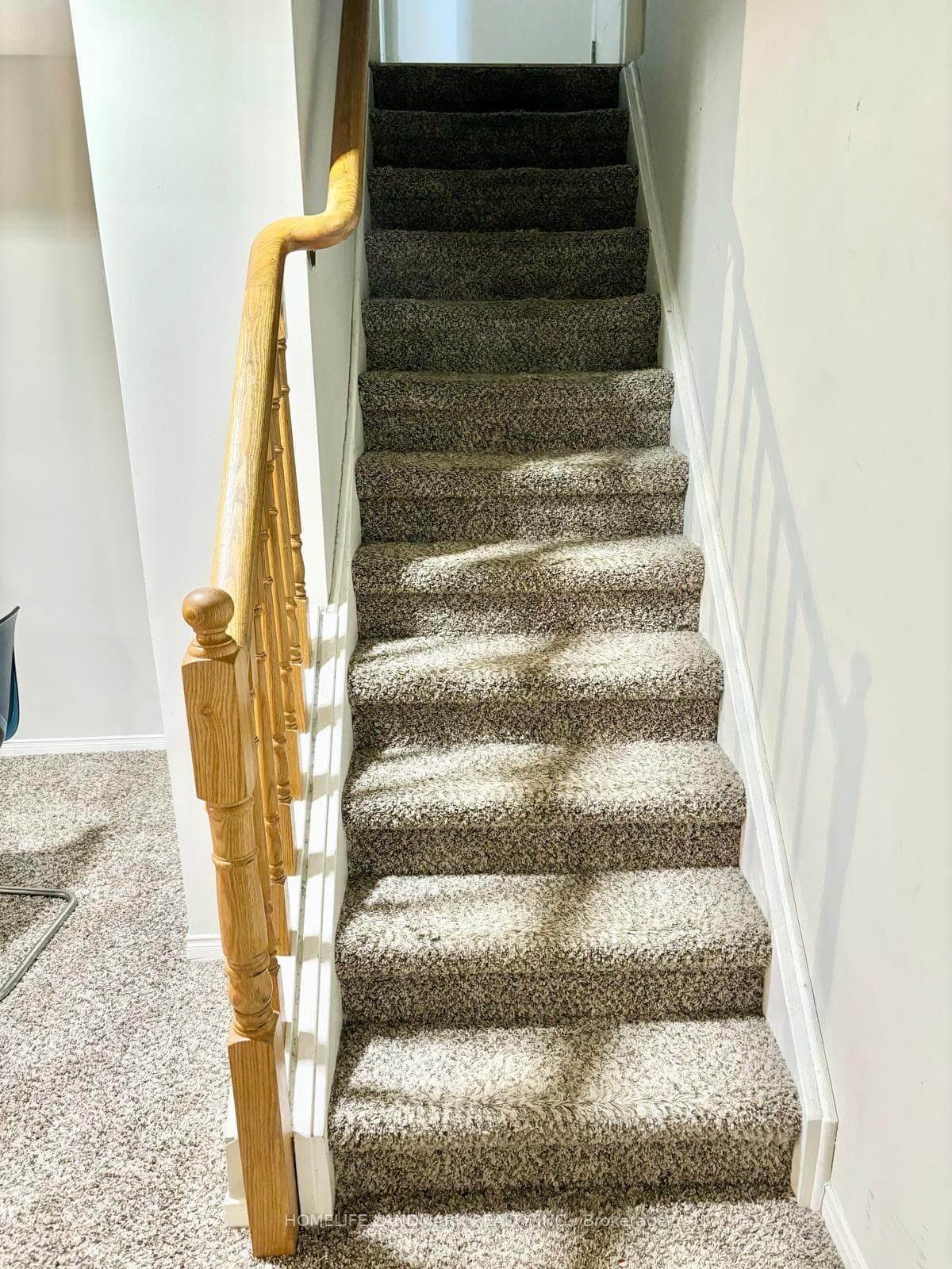 Basement Entry