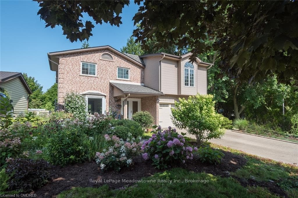 255 MORRISON Road photo 3