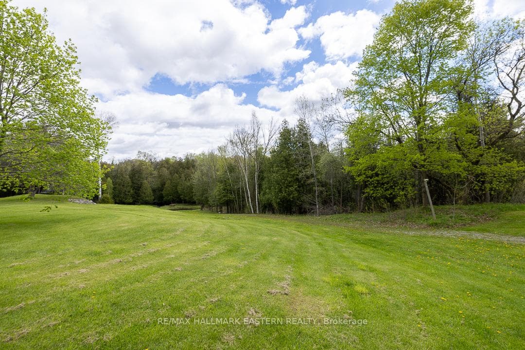 59 Dranoel Drive photo 29
