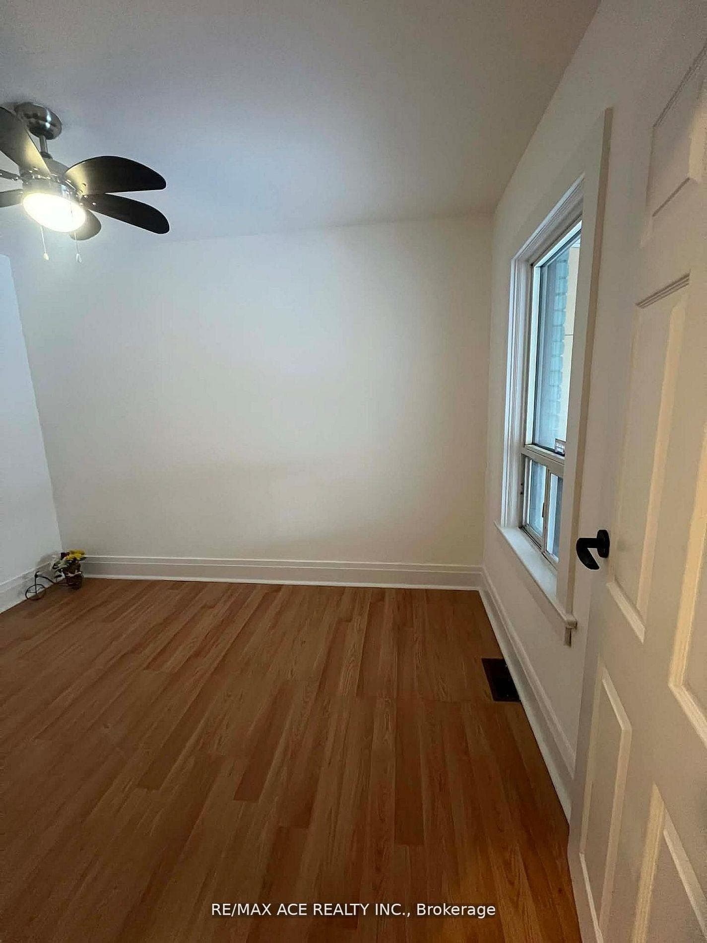 12 Mahoney Avenue photo 8