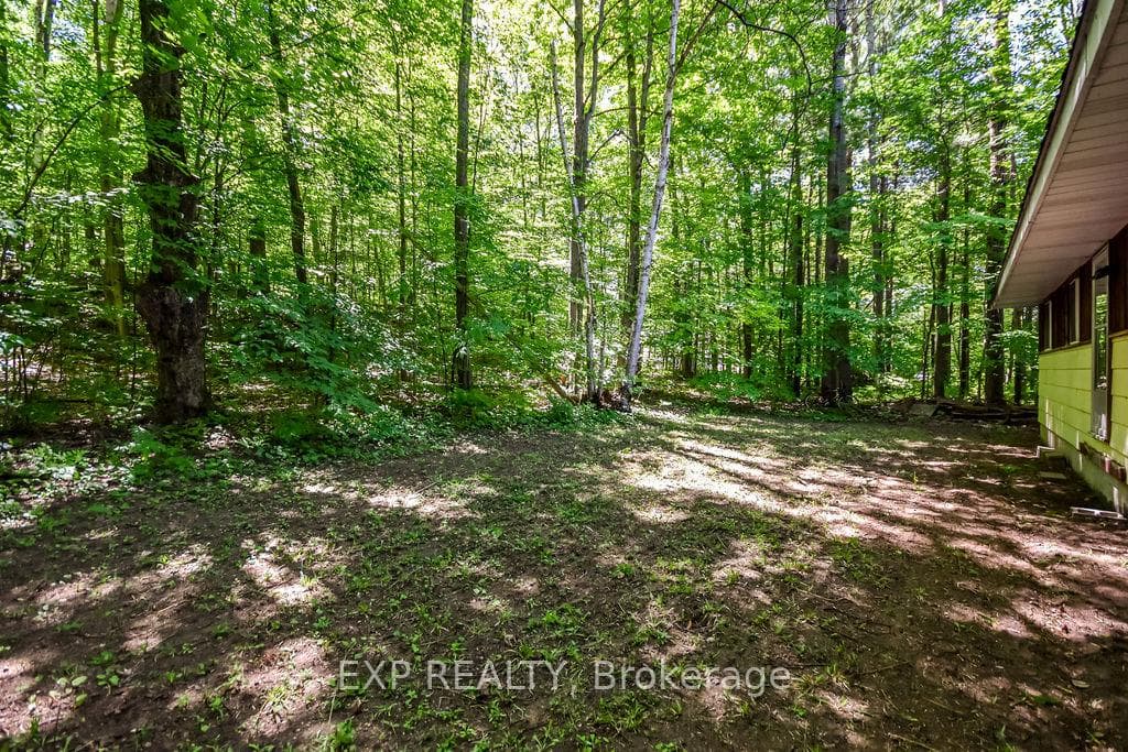 915 Vindin Street photo 24