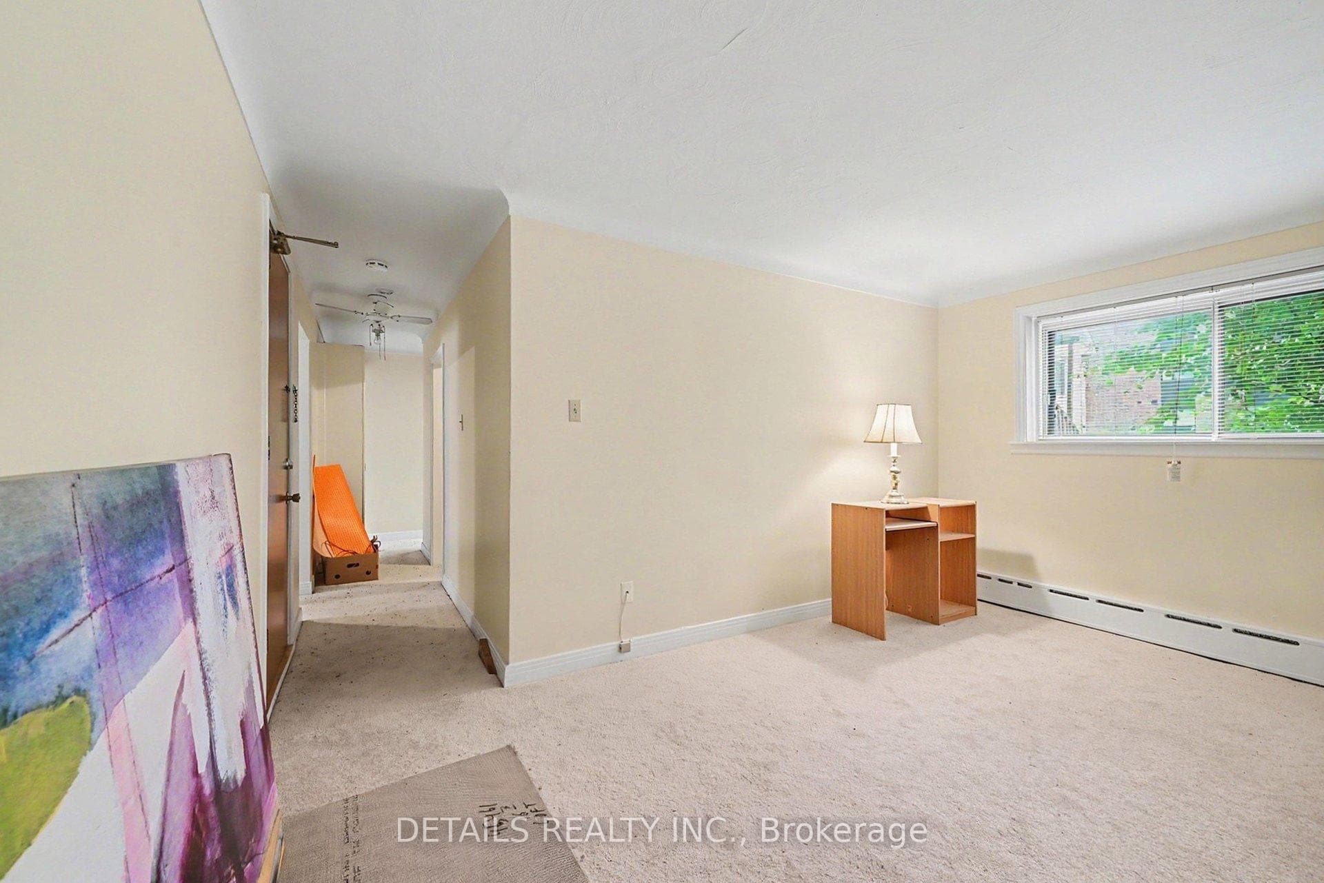294 Donald Street photo 36