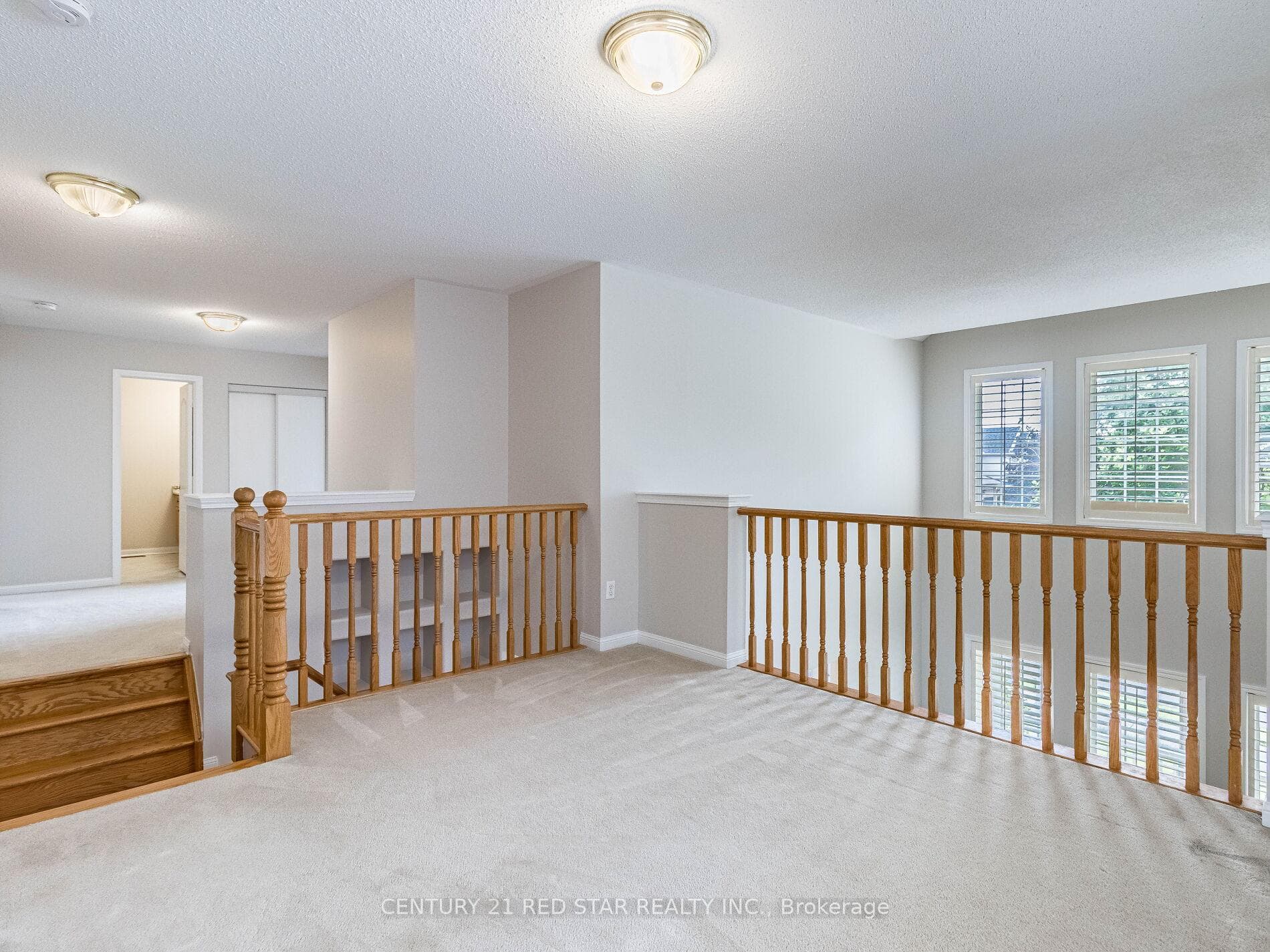 34 Williamson Drive photo 22
