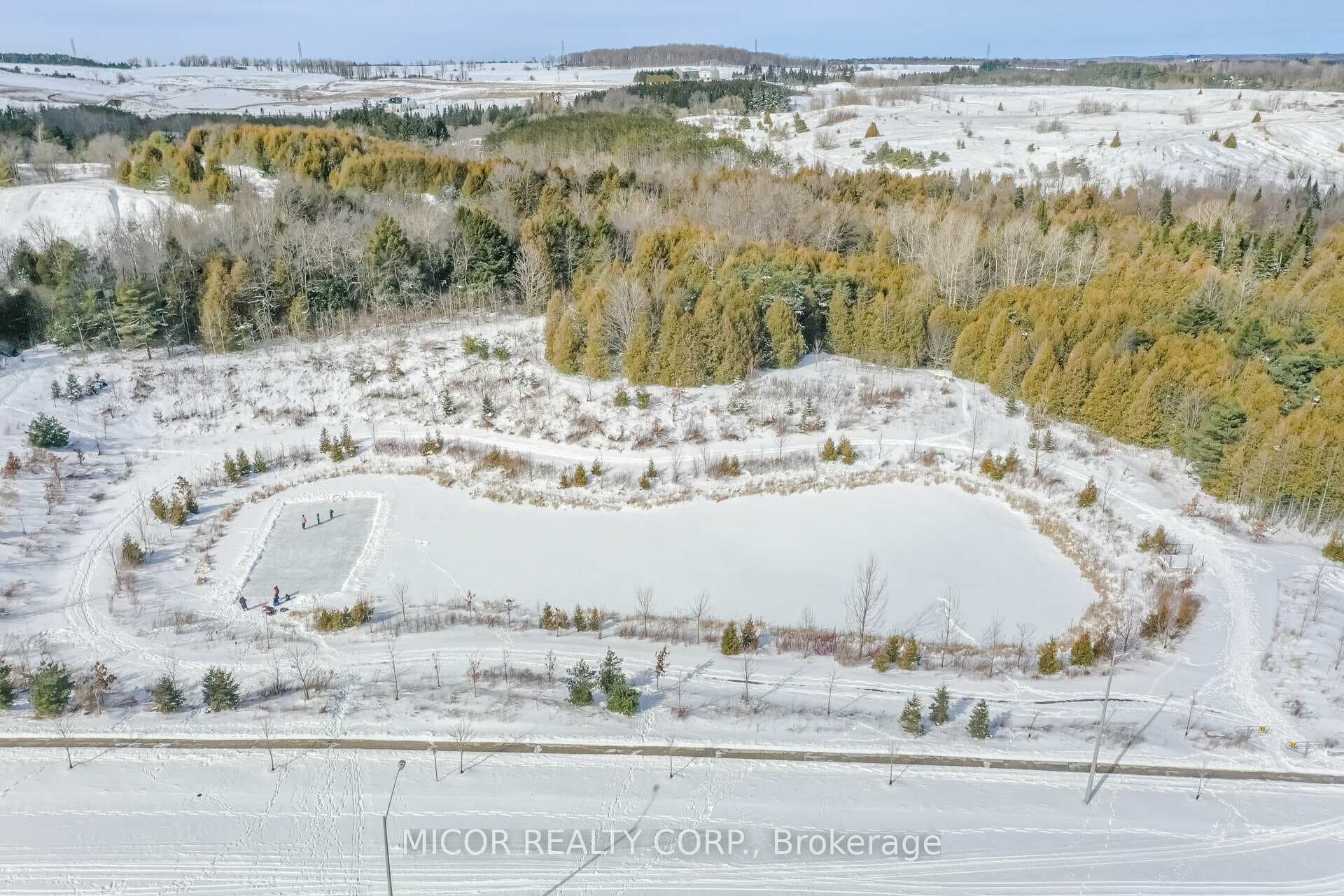 40 Porter Drive photo 32