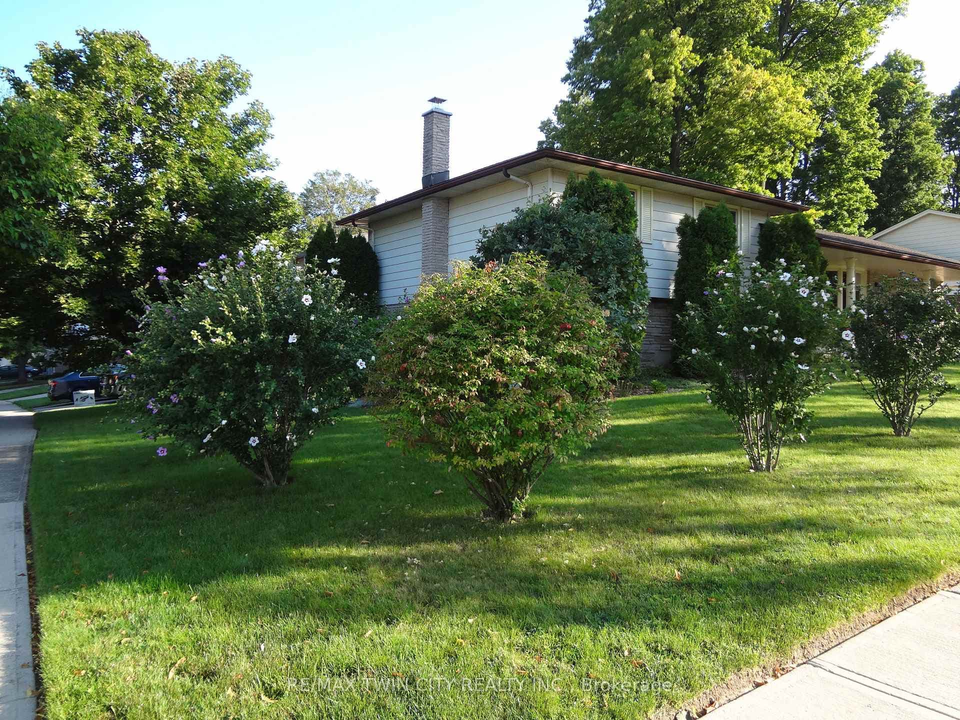 45 Nipigon Street photo 4