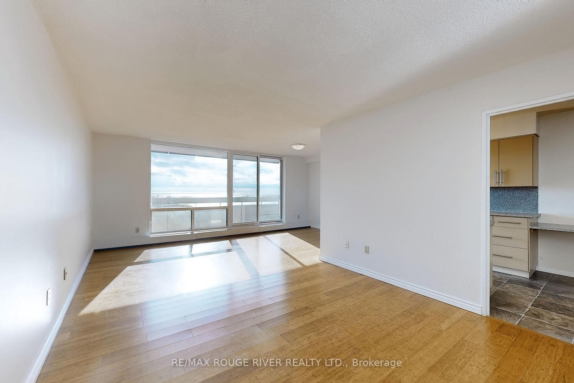Huge Open Living Room
