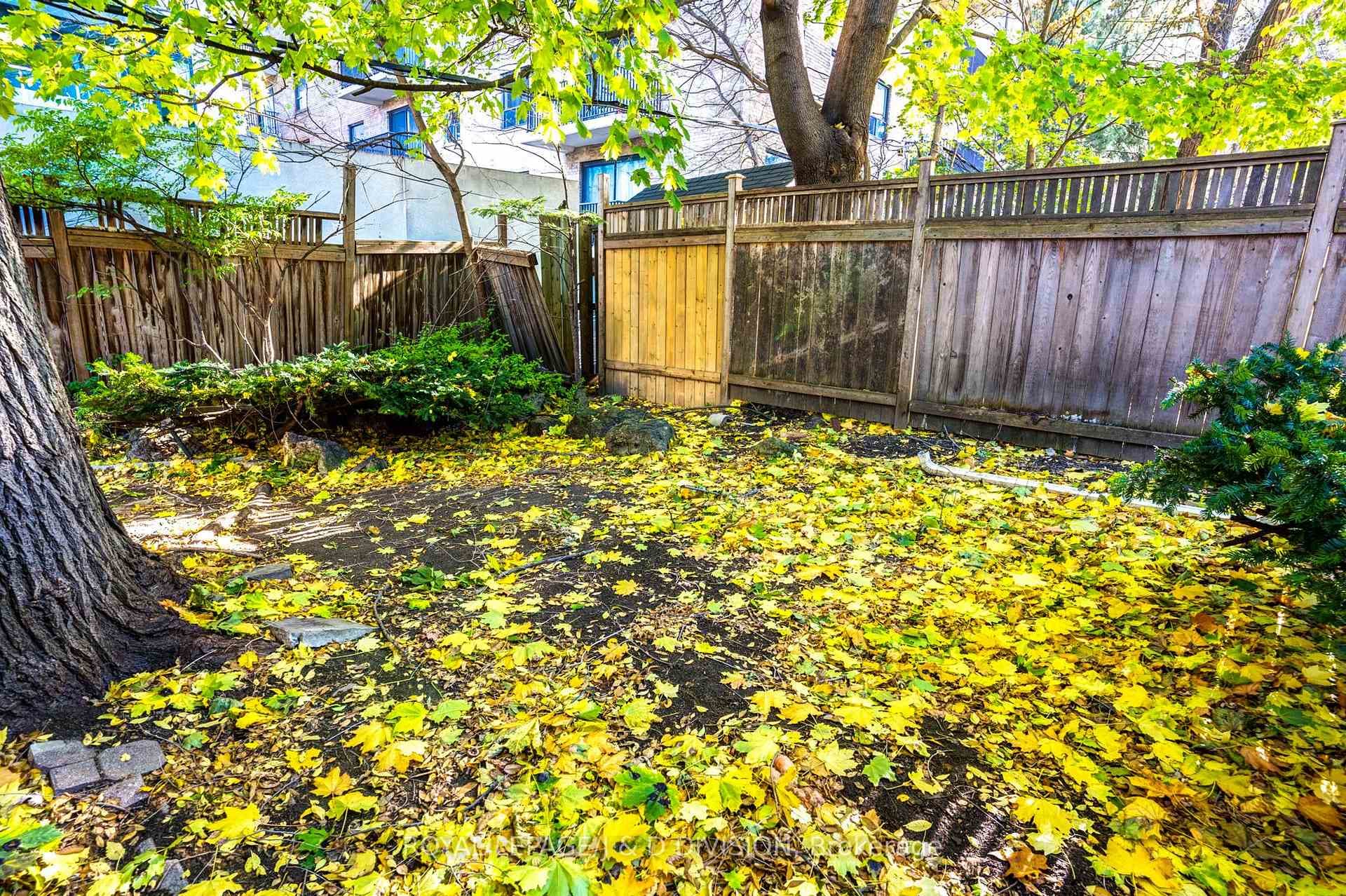 27 Cortland Avenue photo 35