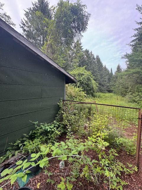 869 Townline Road photo 4