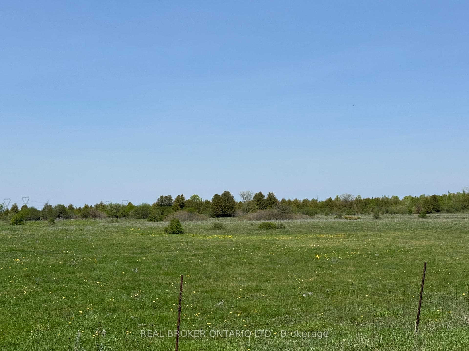 00 WILLIAM CAMPBELL Road photo 2
