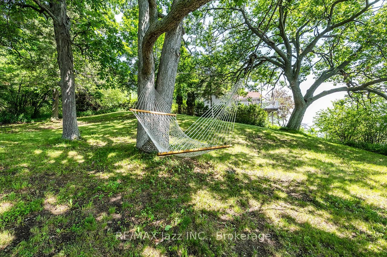 82 Cow Island photo 18