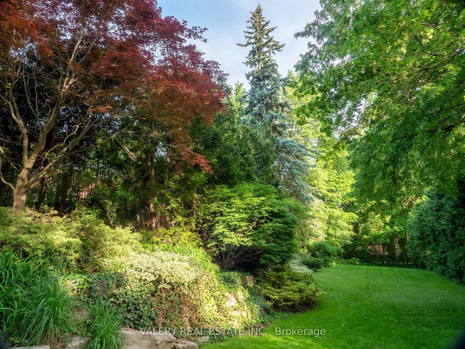 Private garden surrounded by mature greenery