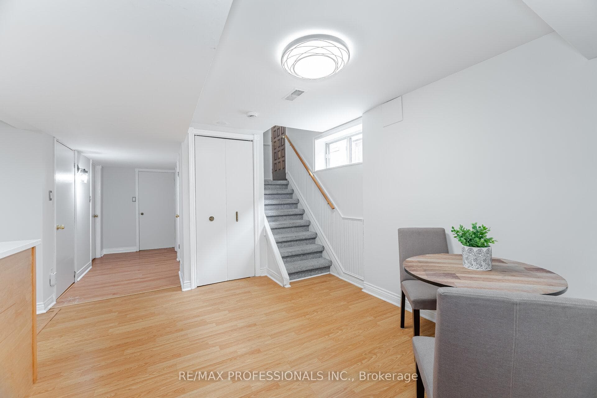 Lower Level Closet