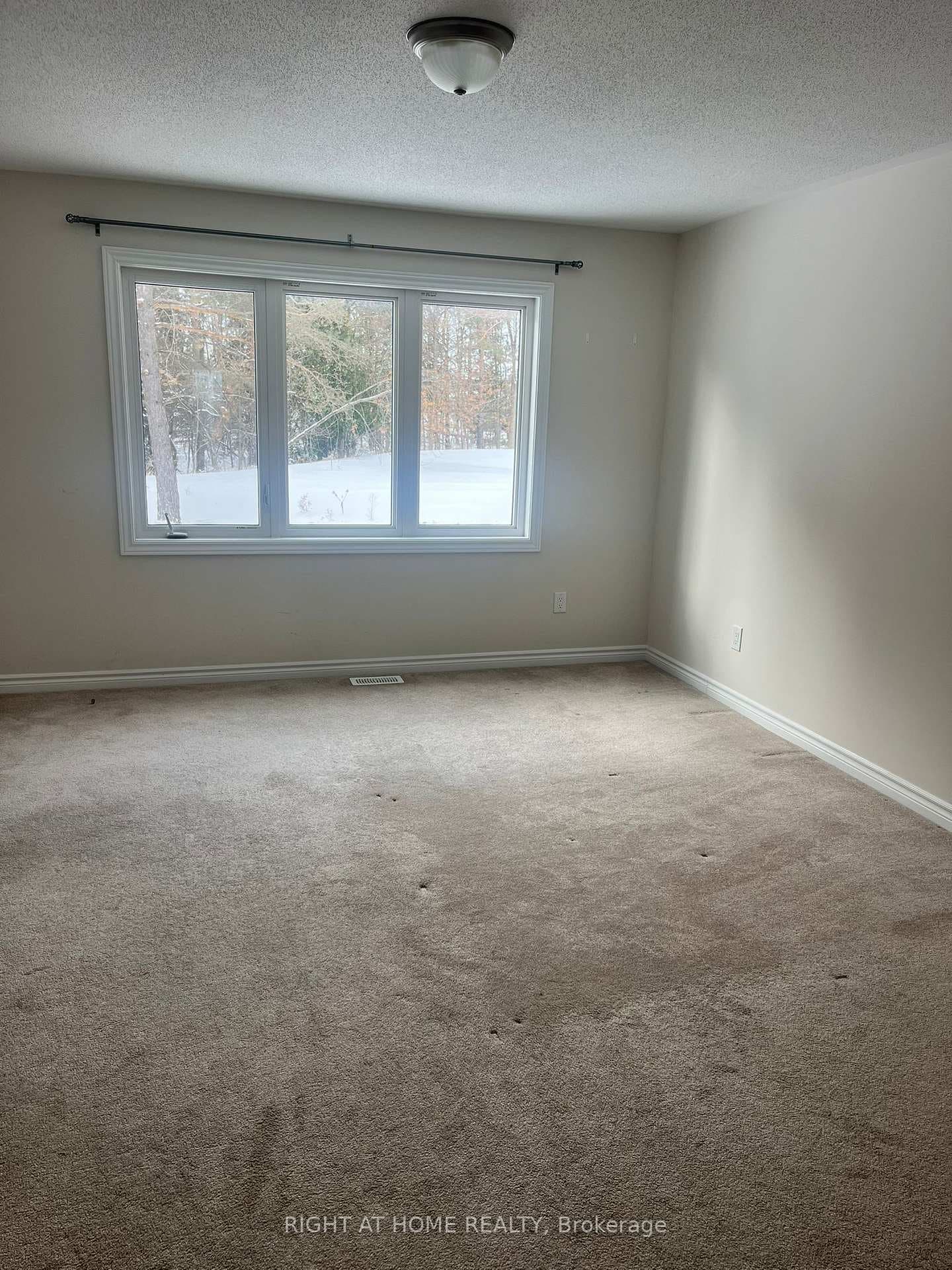 209 HARTSMERE Drive photo 15