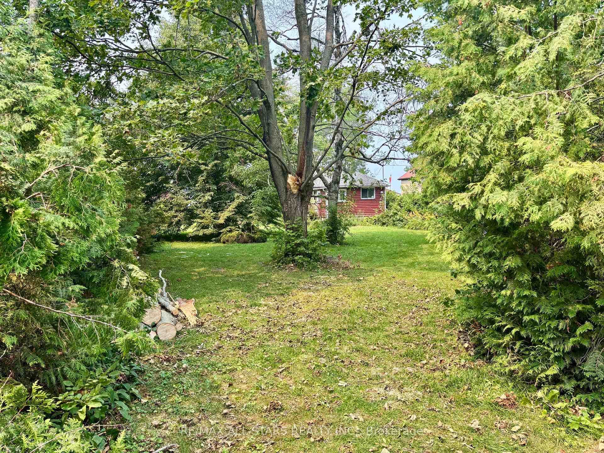2356 Lakeshore Drive photo 8