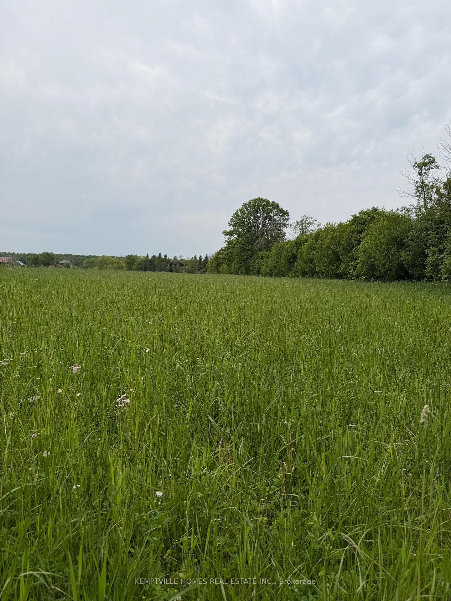00 RICHARDSON Road photo 33