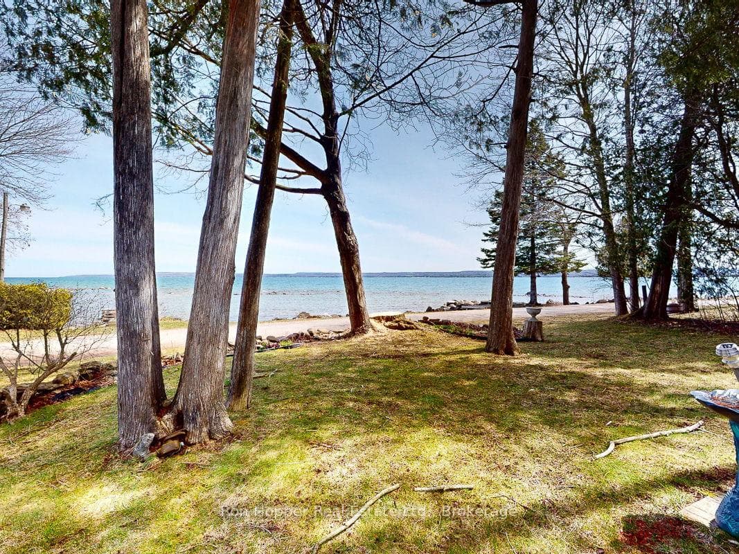 110 Cottage Lane photo 4