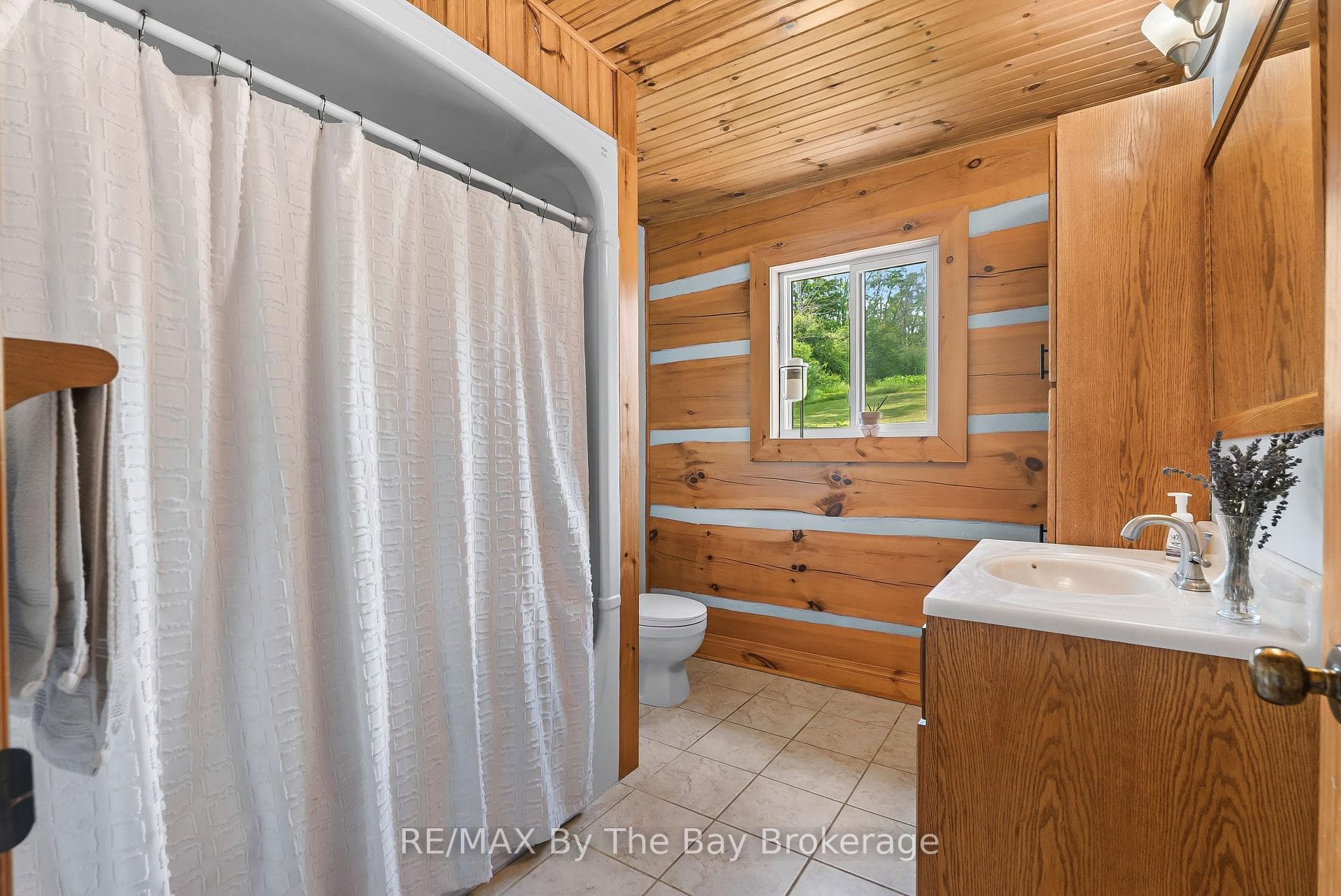 23467 Holland Sydenham Townline photo 9