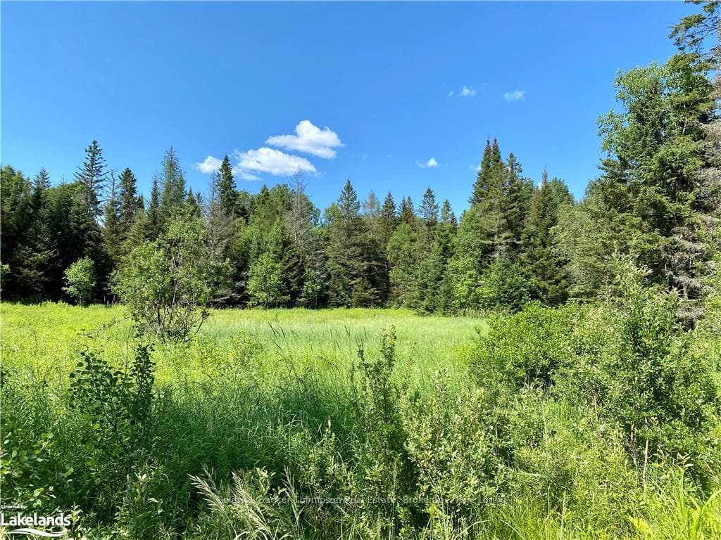 0 CONCESSION ROAD 10 AND 11 N/A photo 2