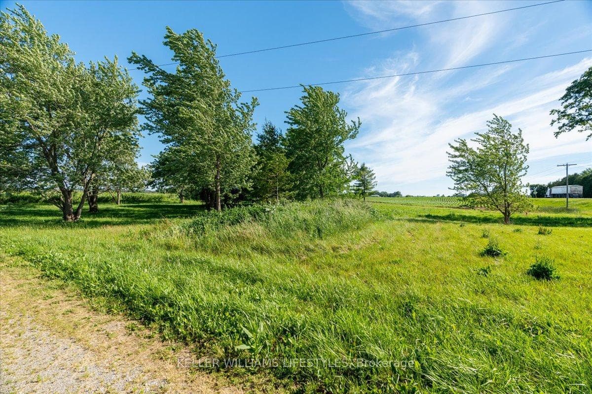 6079 Longwoods Road photo 24