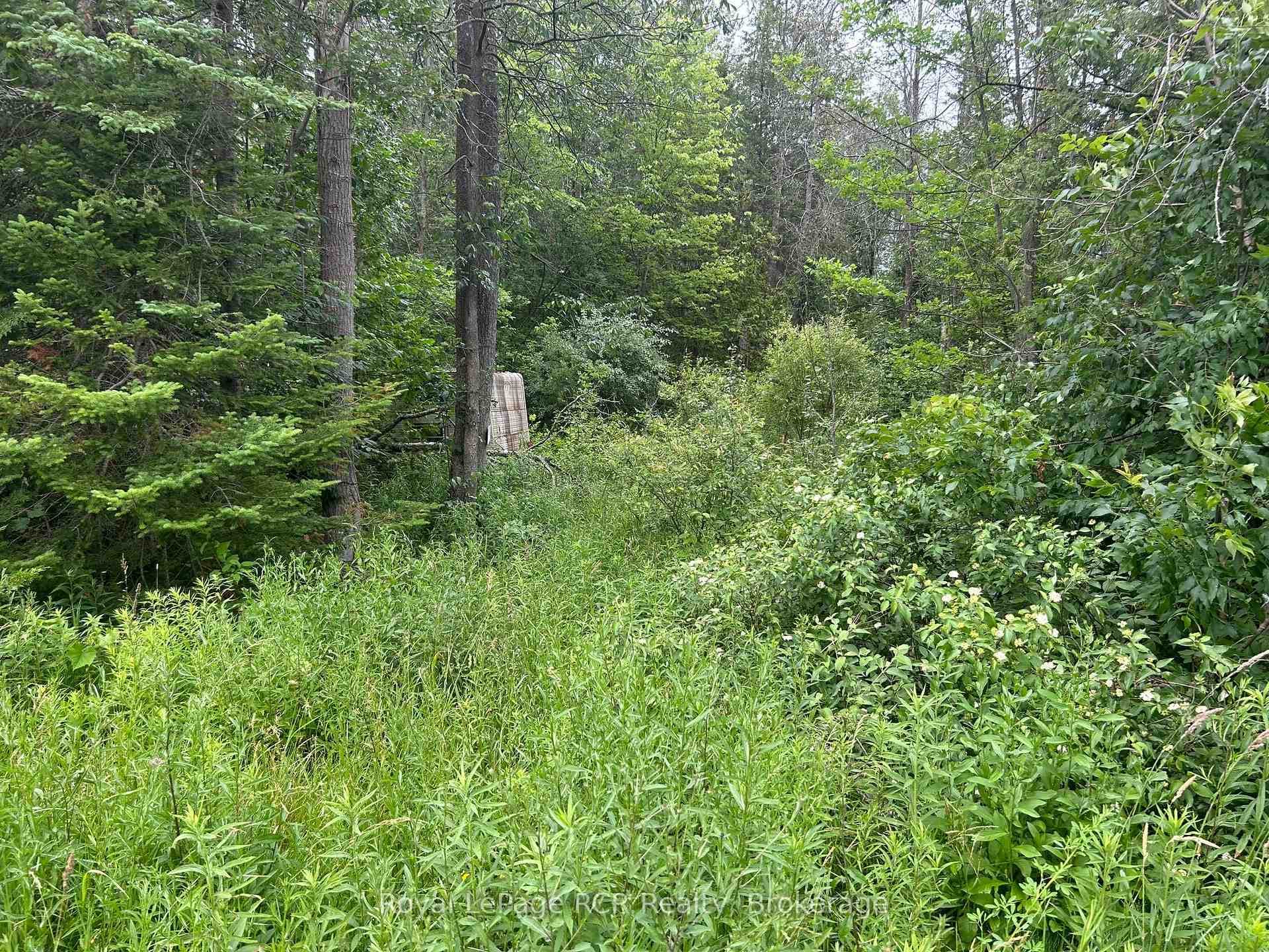part Lot 2 conc 17 Road photo 4