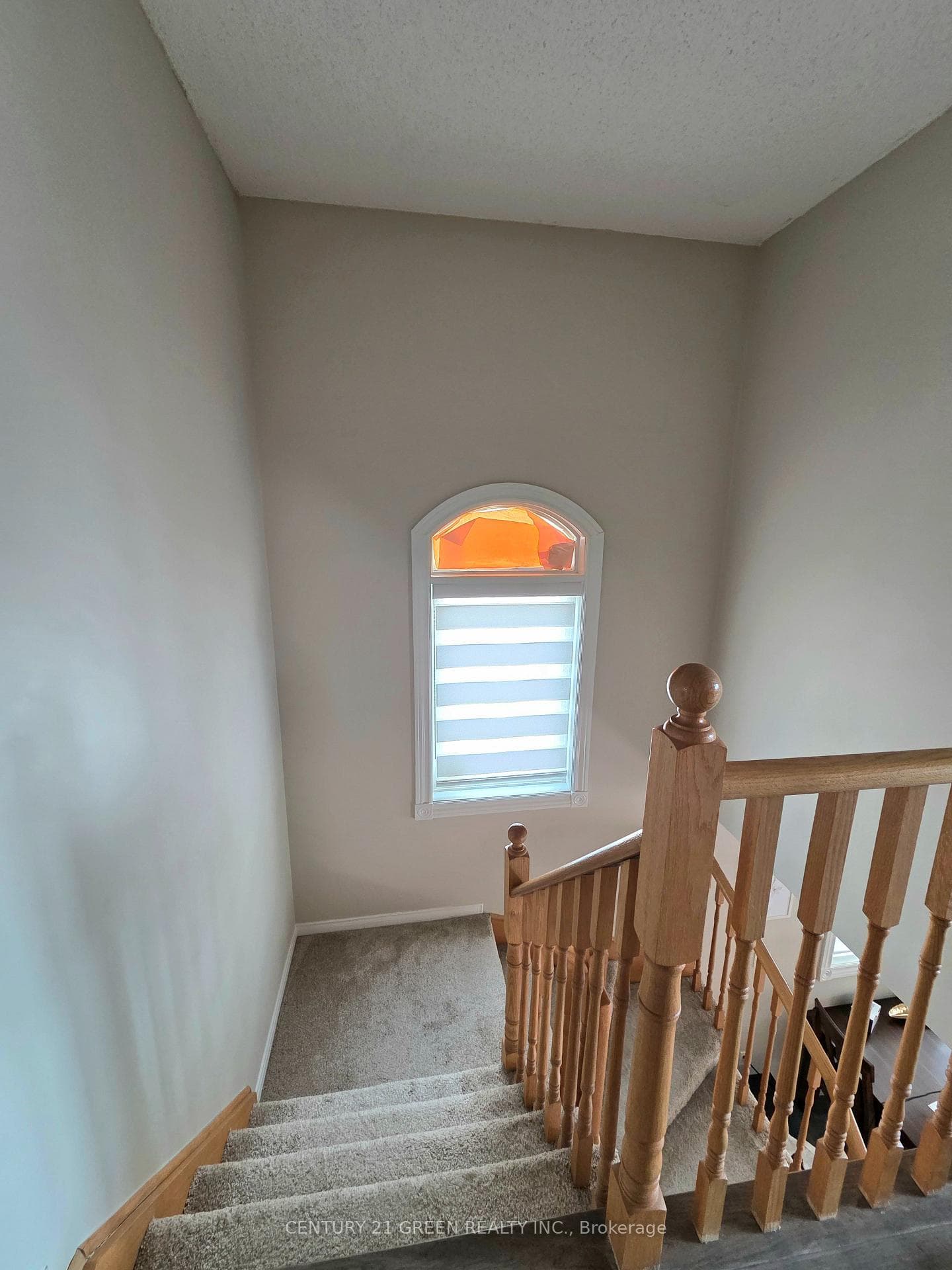 7314 Cork Tree Row photo 29