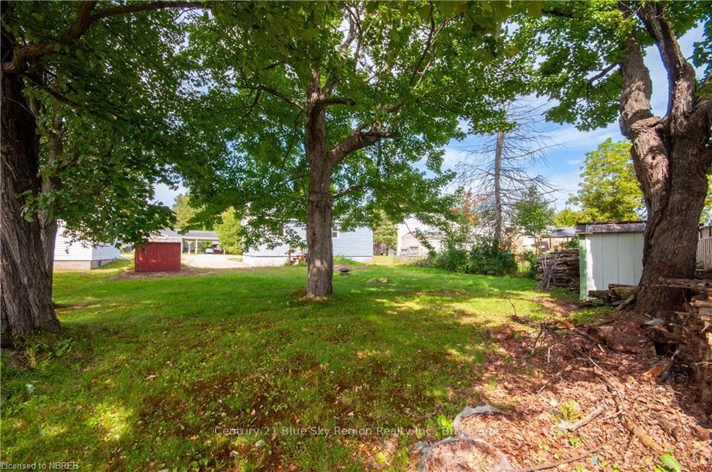 479 ANGUS Avenue photo 15