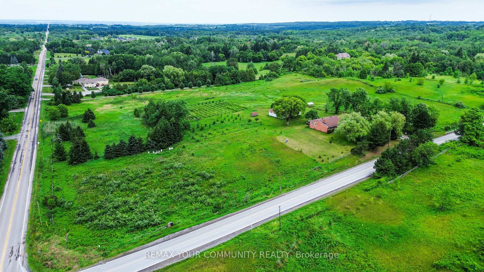 2950 17th Side Road photo 6