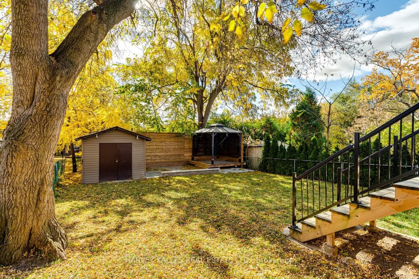 31 Regina Avenue photo 36