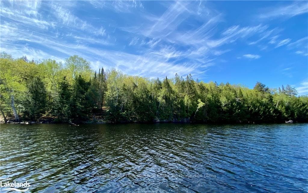 06-A TOAD LAKE N/A photo 4