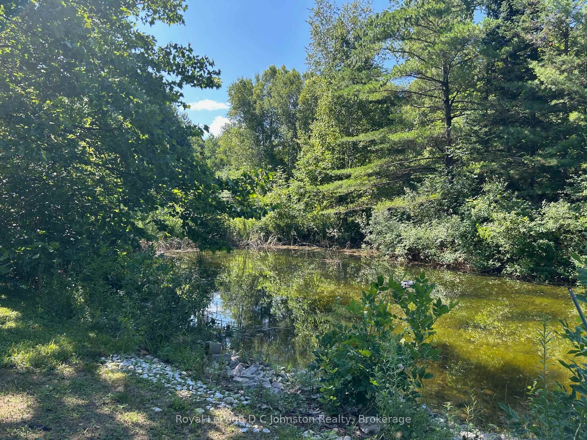 pond