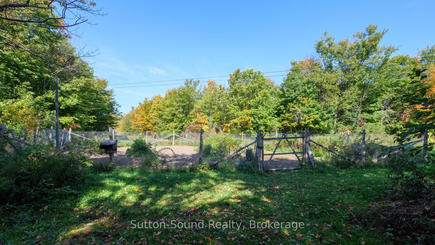 43 Bartley Drive photo 24