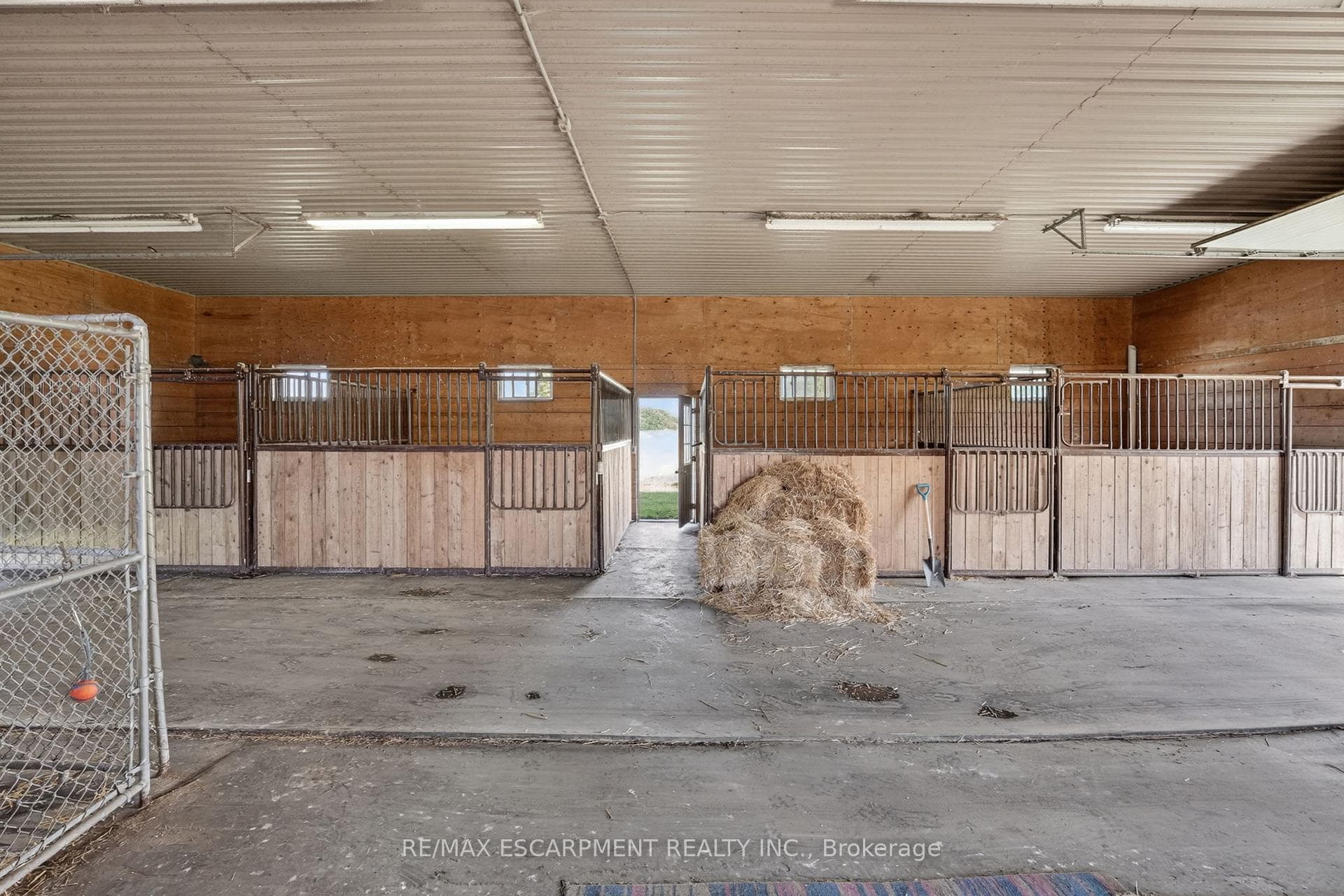 4145 Sixteen Road photo 8