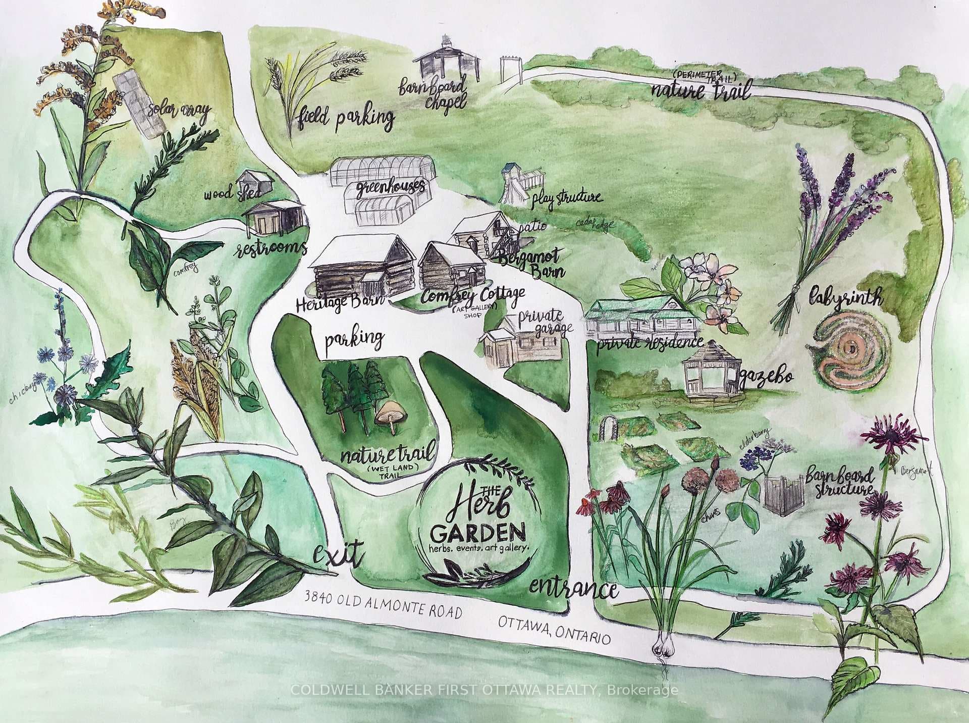 Watercolour Map of The Property