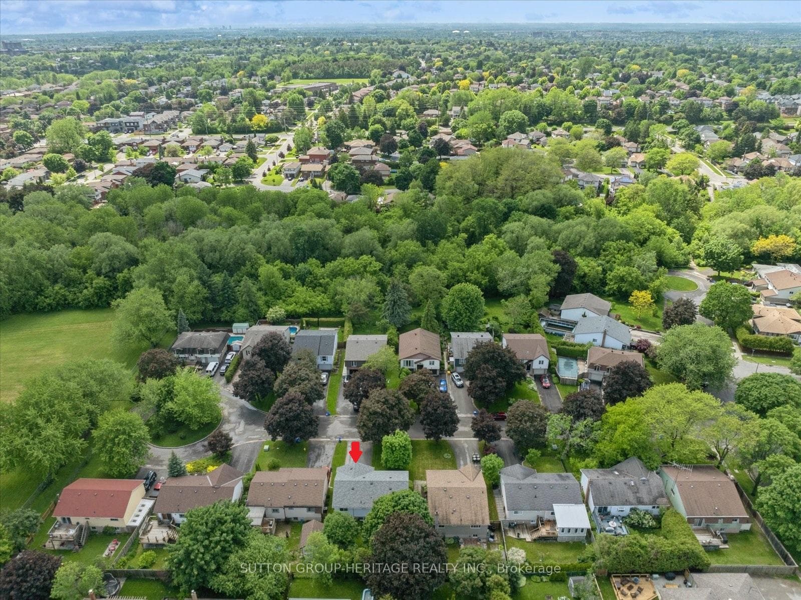 Lovely Tree-Lined Street