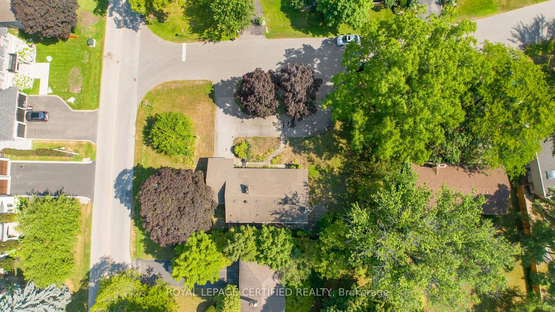 122 Selgrove Crescent photo 5
