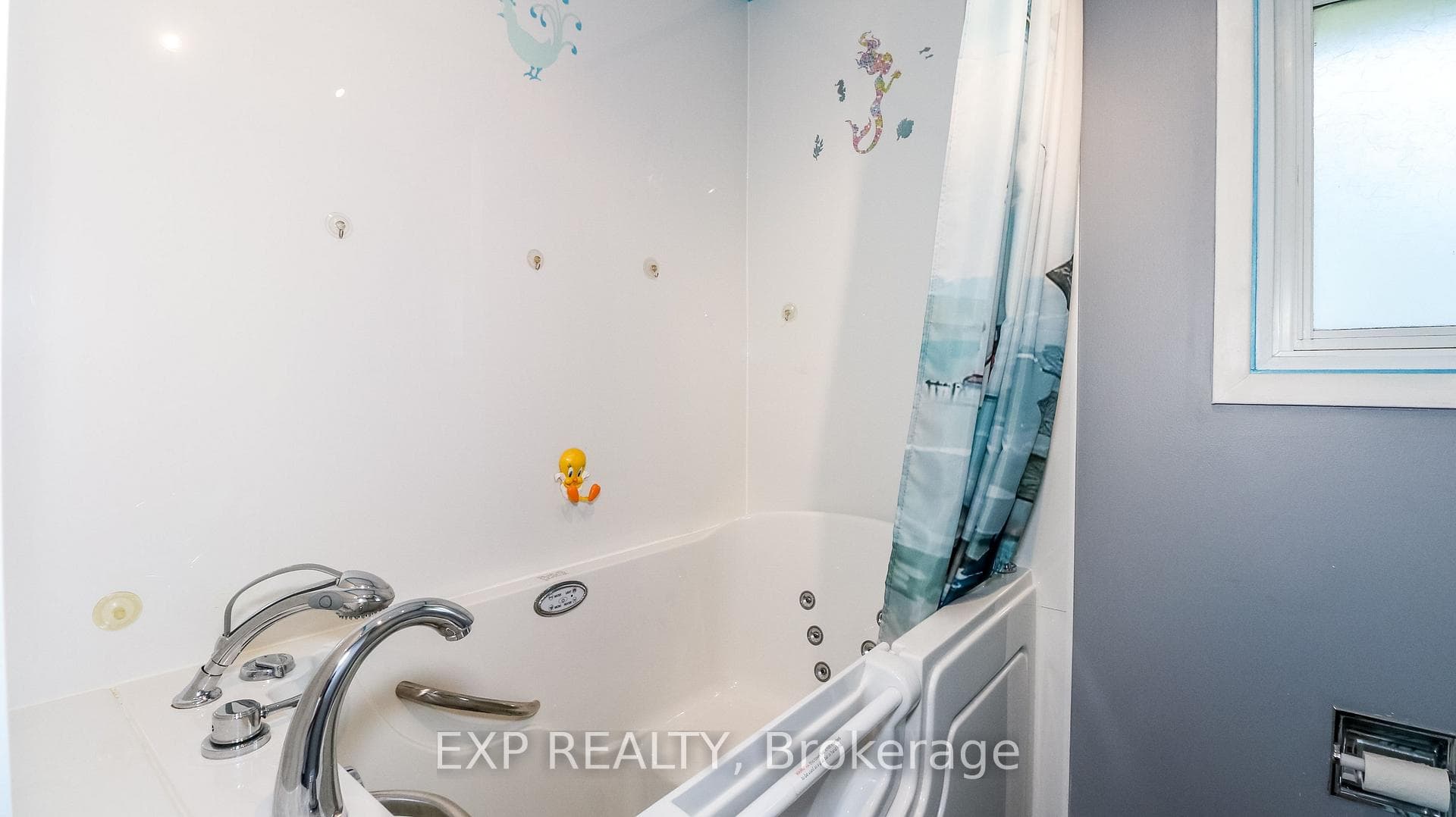 Accessible Tub and Shower
