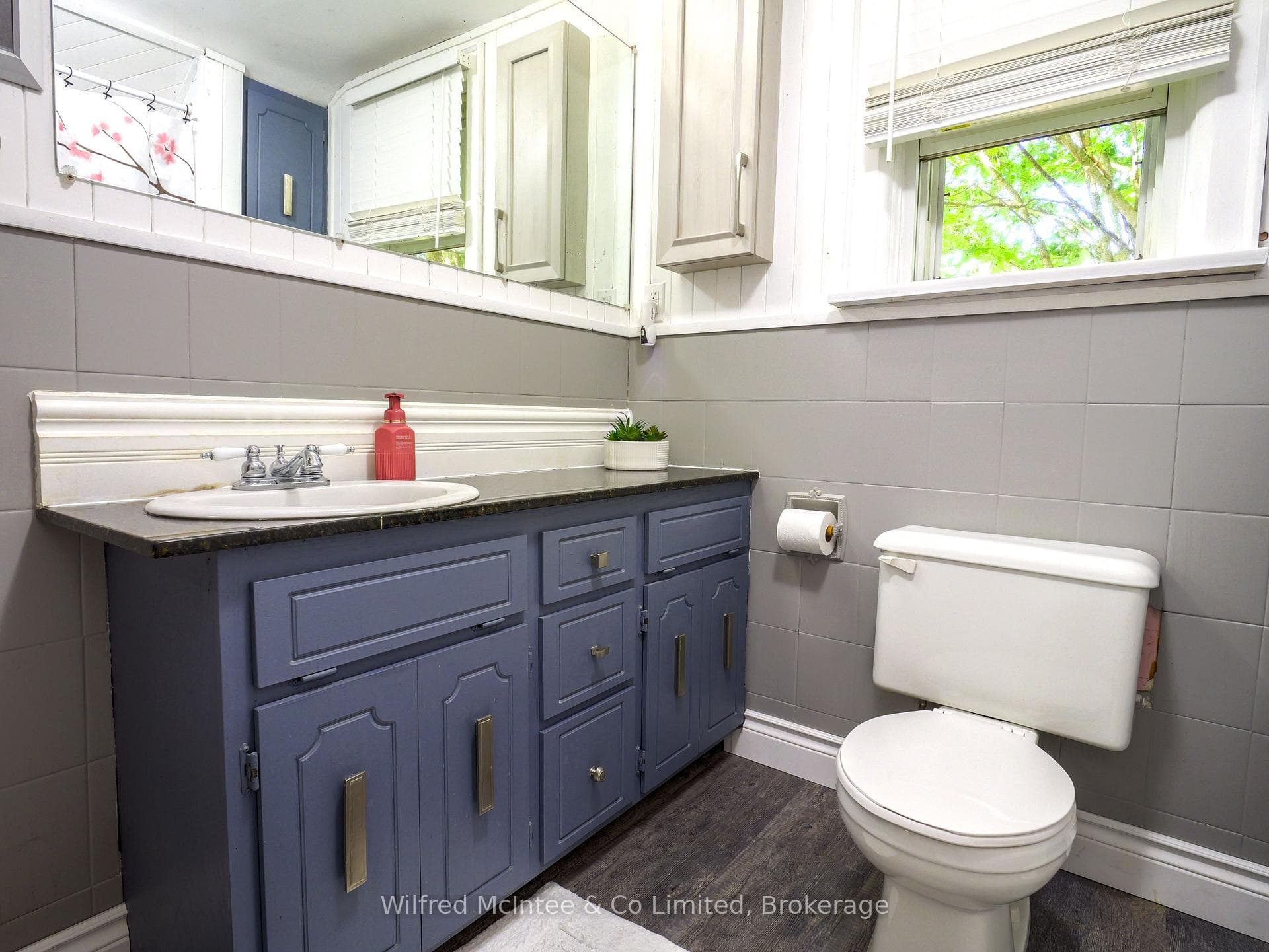 304 Napier Street photo 11