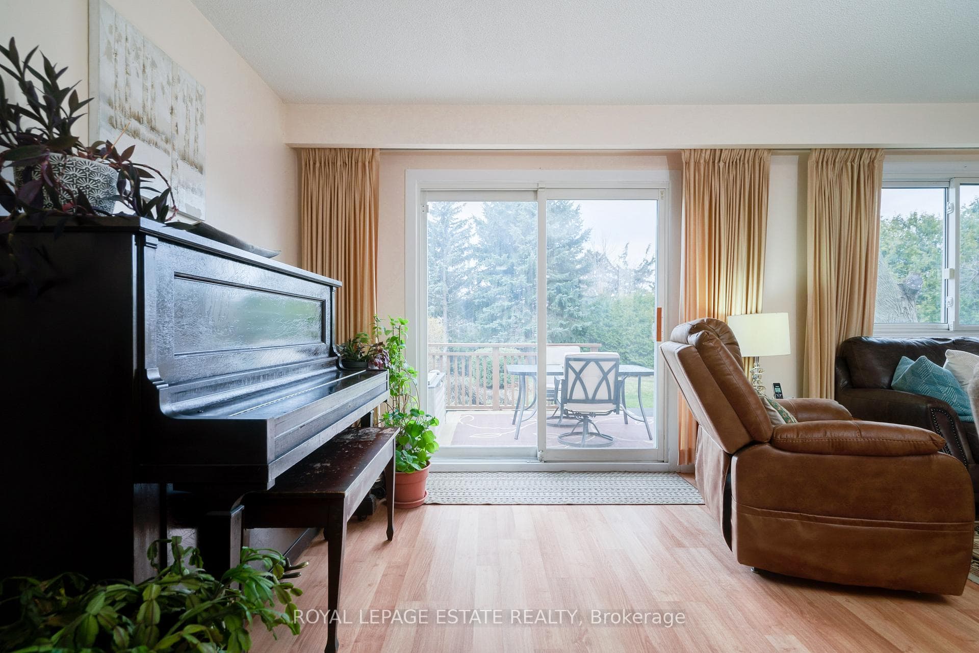 4 Lionhead Trail photo 11