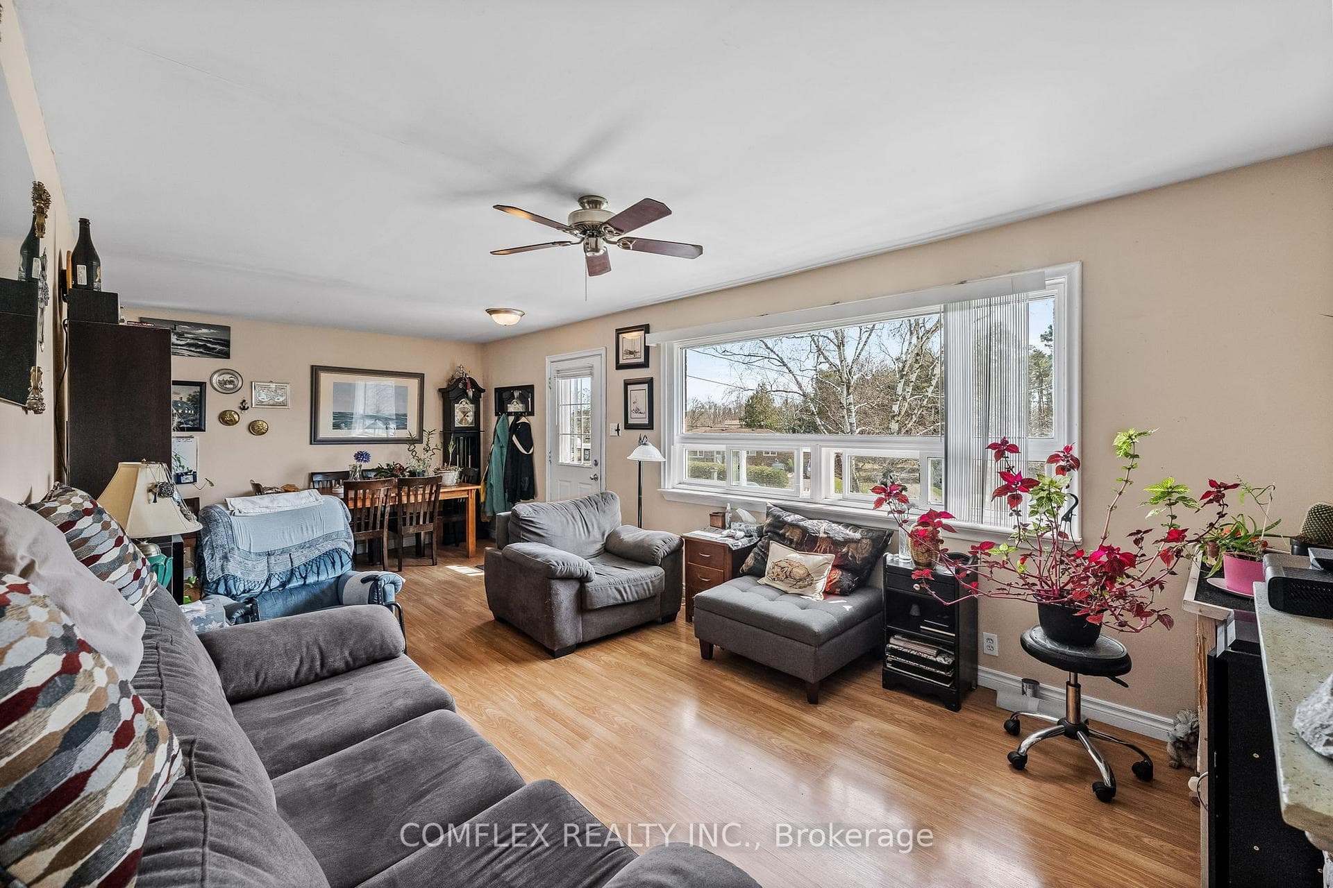53 Bell Street photo 5