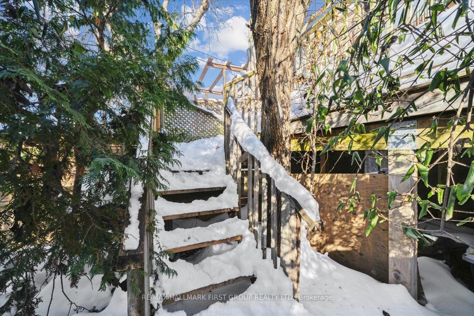 246 Montrose Avenue photo 34