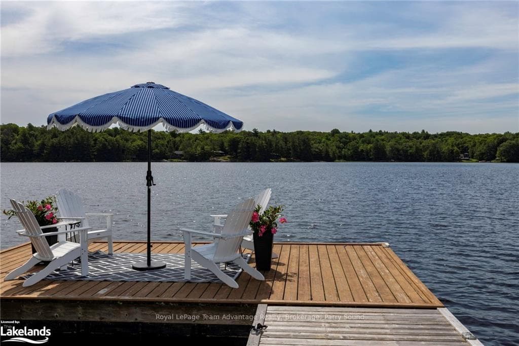 20 MUNRO Drive photo 44