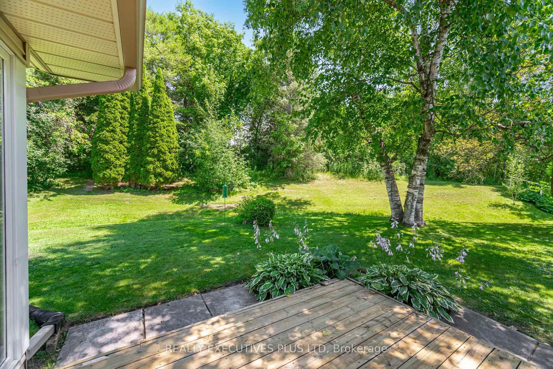 3 Pineview Court photo 29