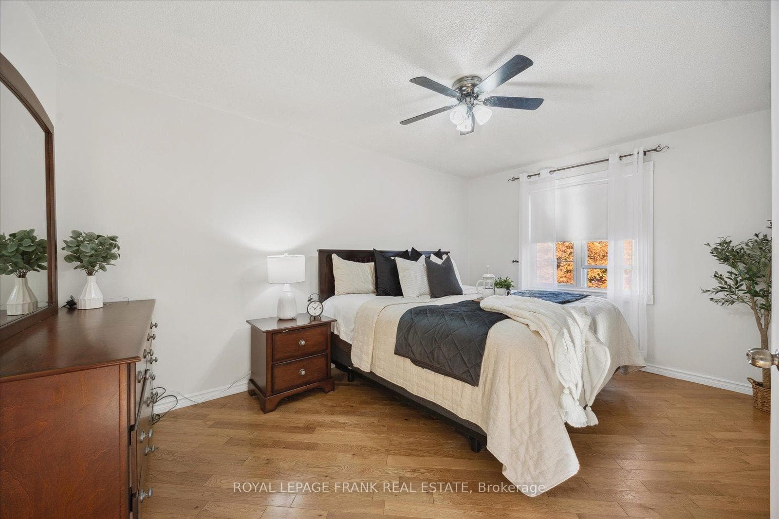 163 Edward Street photo 21