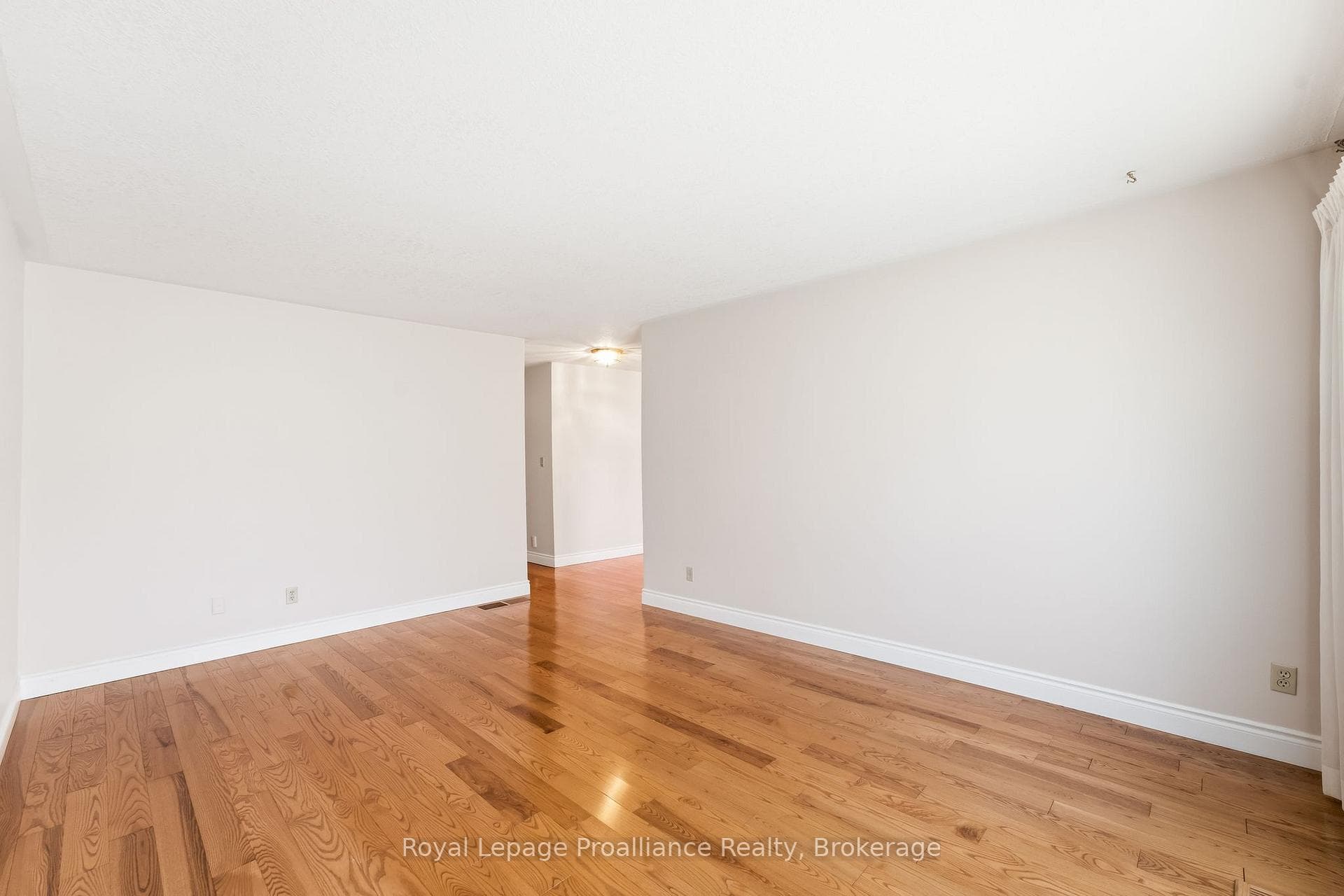 11 Addison Street photo 13