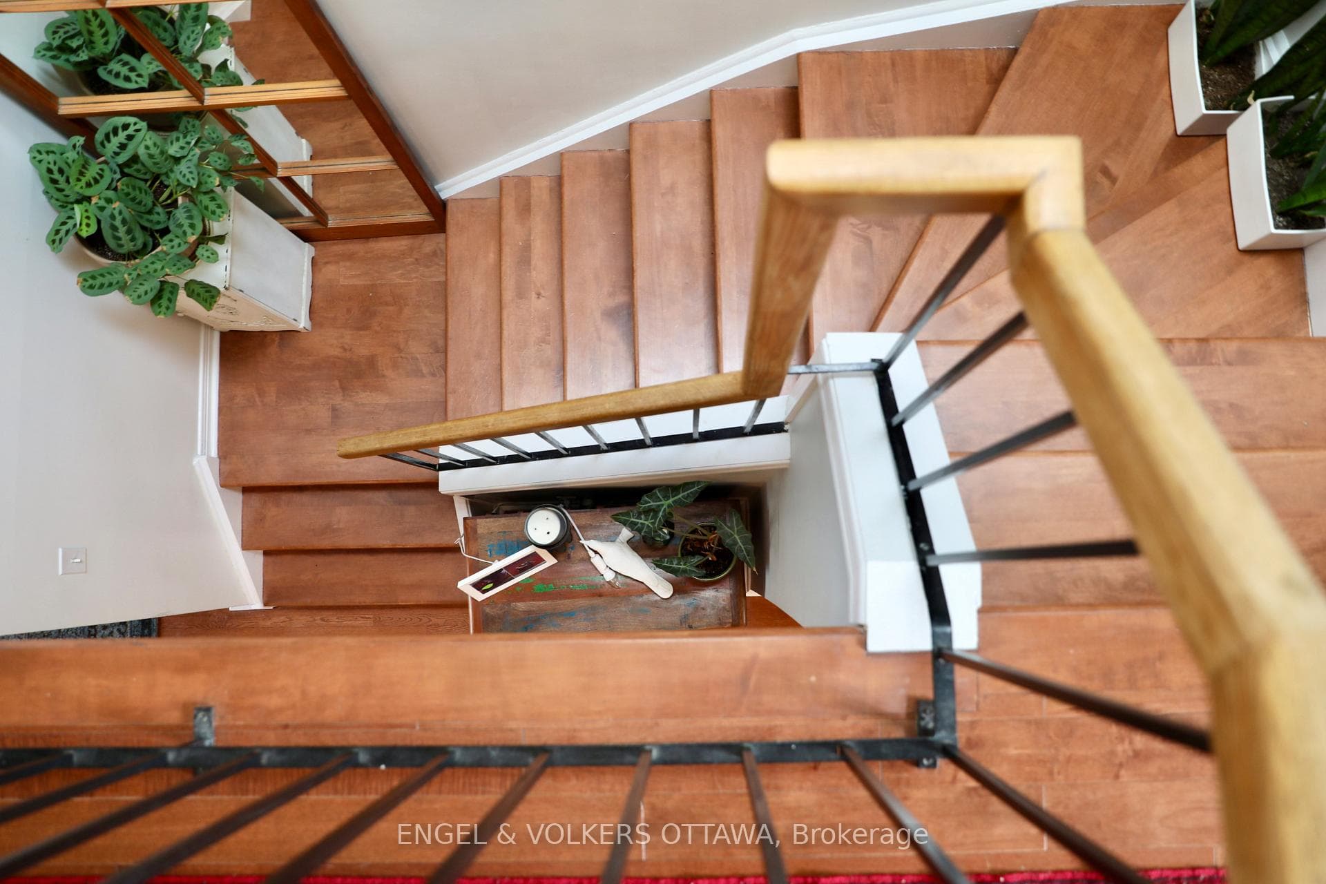 119 Percy Street photo 18