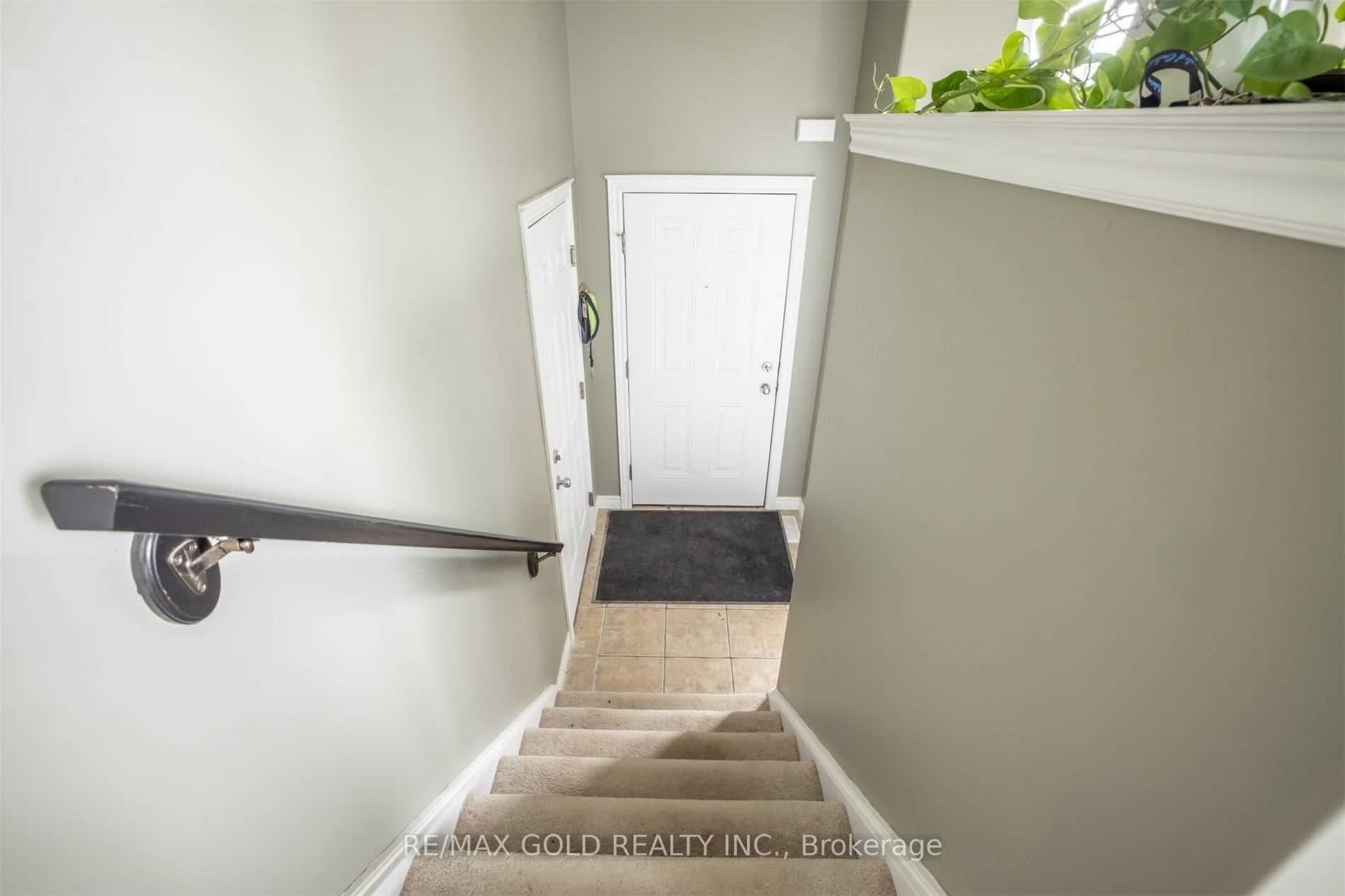 11 Rose Avenue photo 22