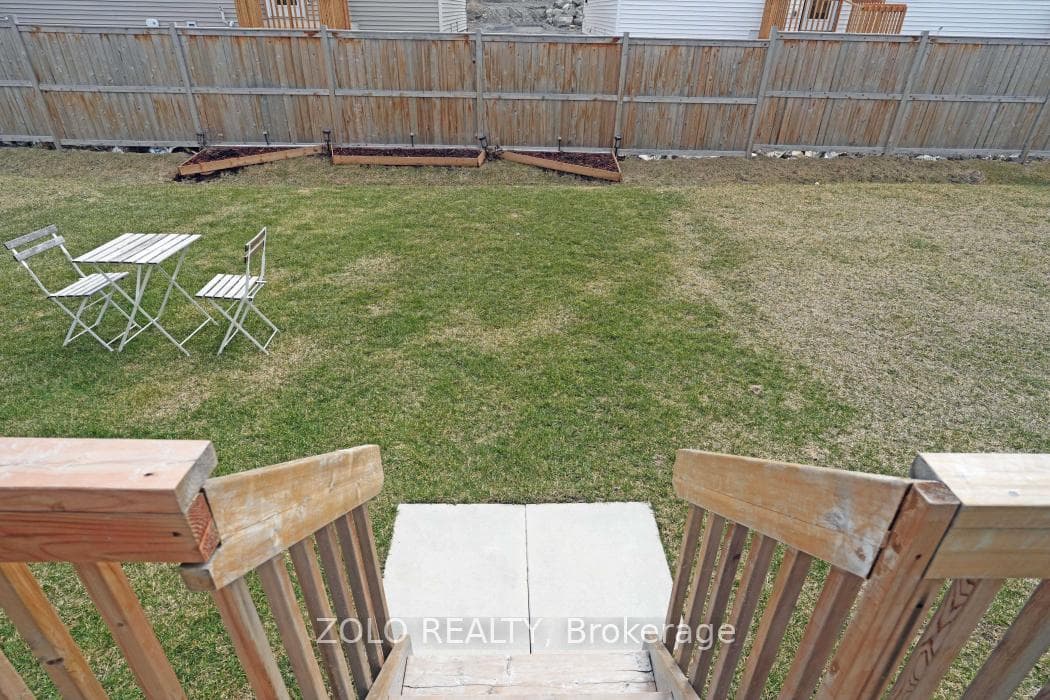 Backyard1