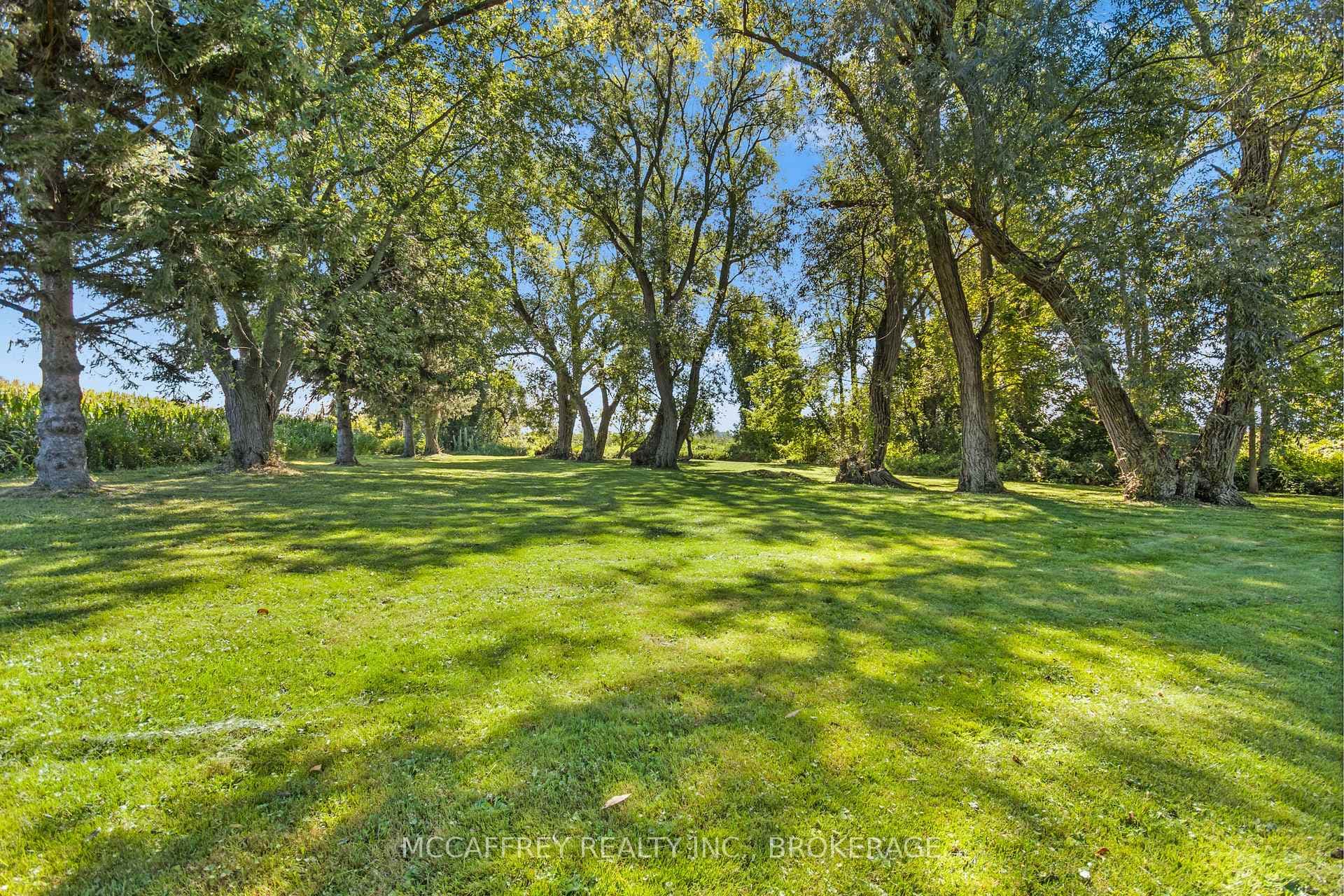 1280 GALT Street photo 24