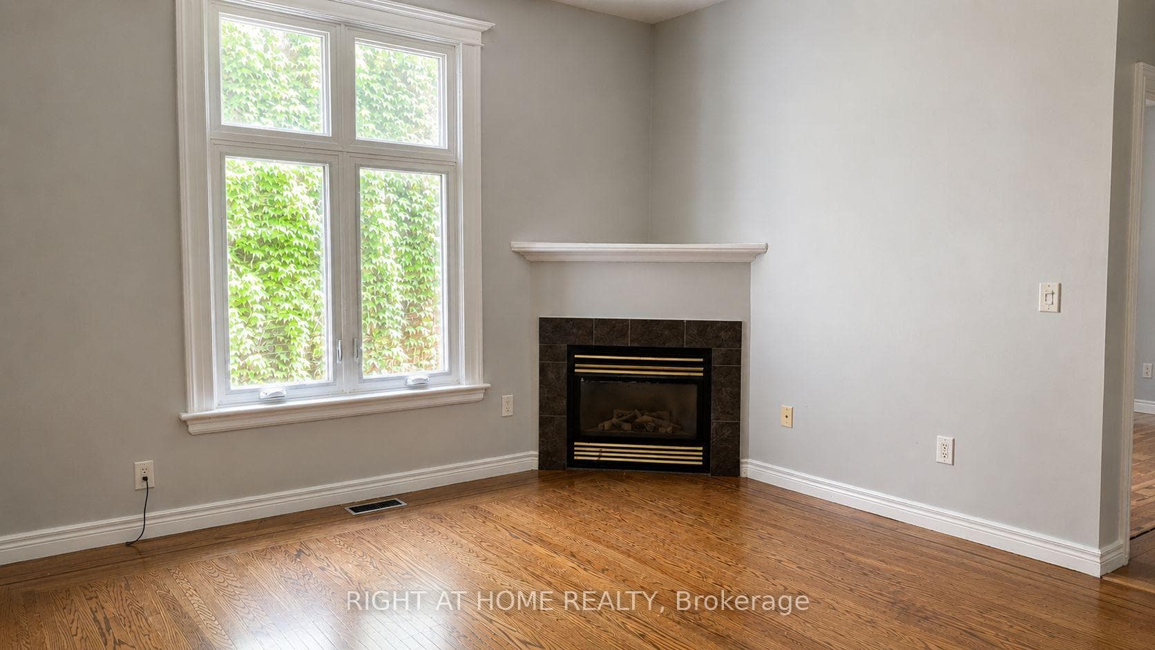 317 Queen Street photo 6